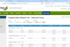 Capital Gain Report